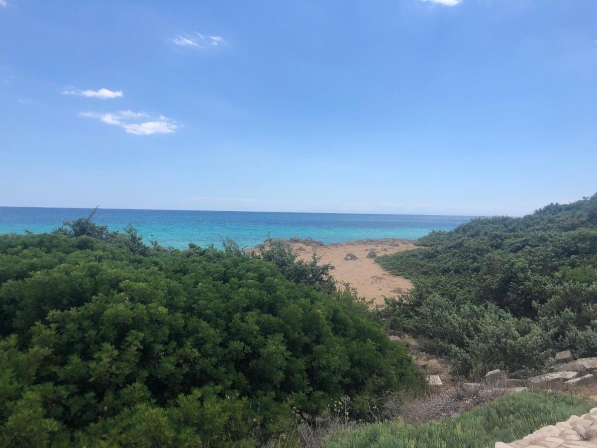 Il Marchese In Piscina Villa San Pietro in Bevagna Dış mekan fotoğraf