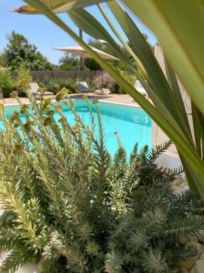 Il Marchese In Piscina Villa San Pietro in Bevagna Dış mekan fotoğraf
